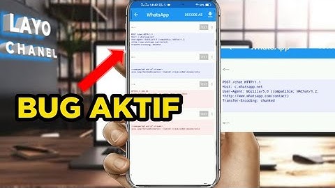 Cara mencari Host/Bug yang aktif dengan mudah