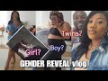 GENDER REVEAL| TEAM GIRL, BOY or TWINS| Overcoming Infertility #pregnancychronicles #miraclebaby