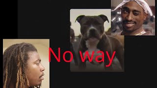 2pac ft DMX - Facing death A.i. reaction