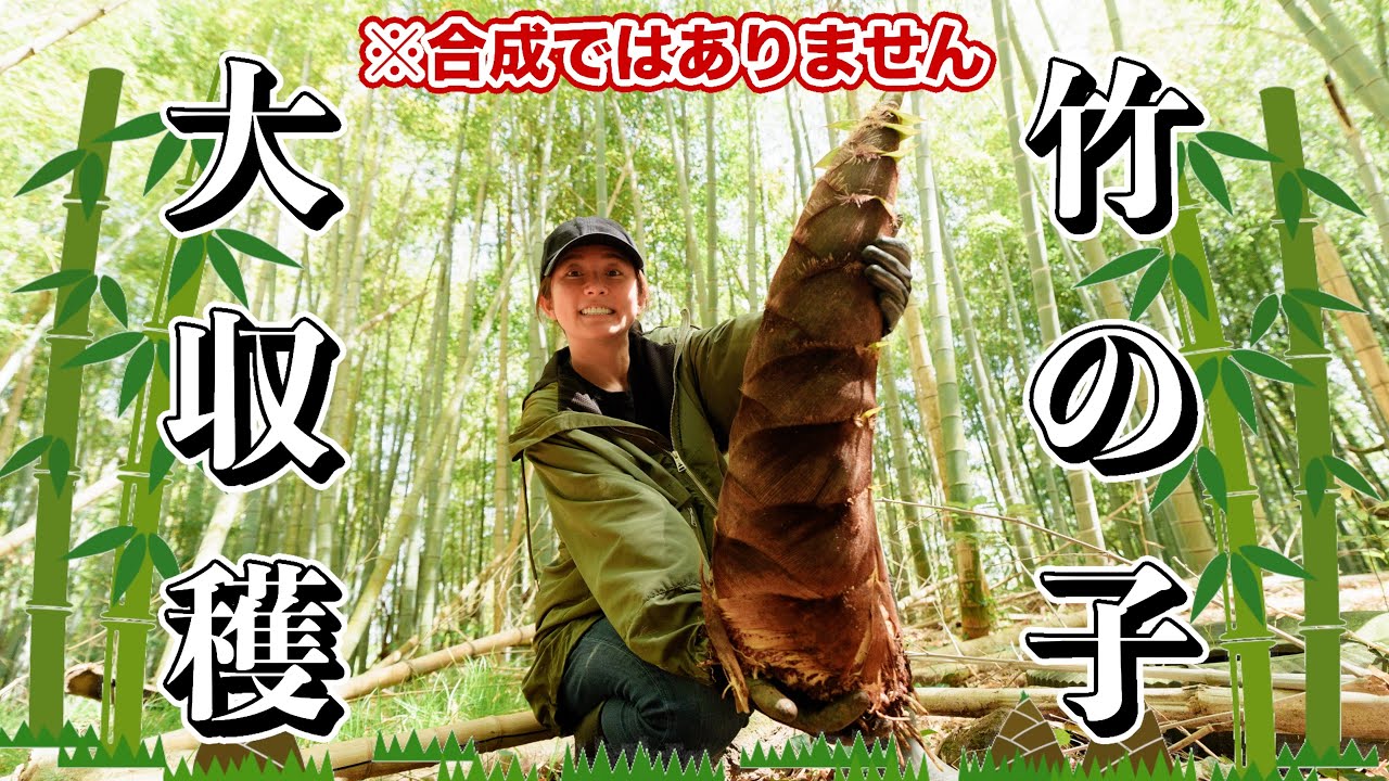 静岡】採ったどー！！！【たけのこ掘り】 - YouTube