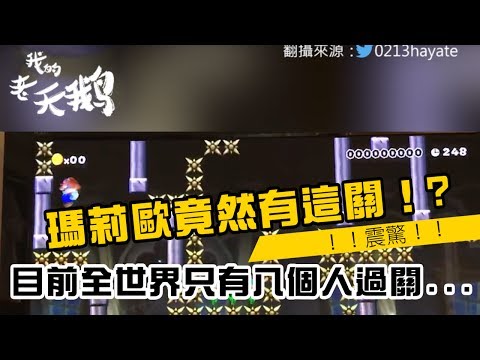 【我的老天鵝啊】瑪莉歐竟然有這關！？據說目前只有八人過關......