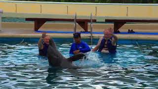 Dolphin Encounter Puerto Vallarta