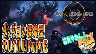 【Dungeonborne】ソロでもマルチでもお宝ガッポリ！？新作デモ版を初見プレイ♪#02 (参加者募集中‼)
