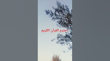 احترم القرآن الكريم #اكسبلور #قرآن #لايك #المصحف #الرحمن
