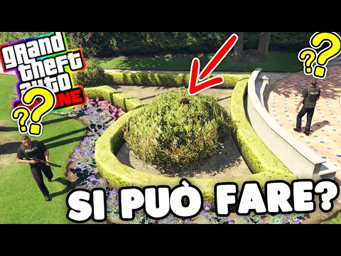 Gta 5 - Si può evitare la polizia dentro ad un cespuglio?
