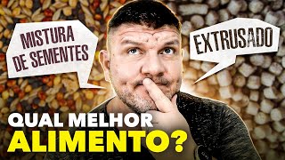 Ração extrusada ou sementes descubra qual deles é o melhor alimento para seus pássaros