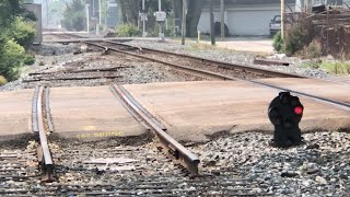 Famous Train Almost Street Running, Abandoned RR tracks Being Removed, Blue Heron Flees Train On Trestle Wealth