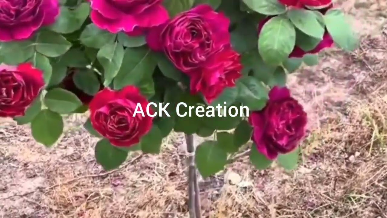 Красота природы 