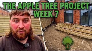 The Decking Step Nightmare! How We Solved It (The Apple Tree Project Week 7)