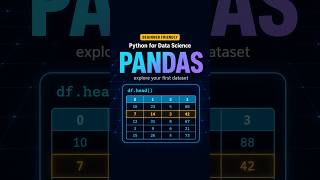 Explore Any Dataset in 5 Lines of Python (Pandas for Beginners) 🐼