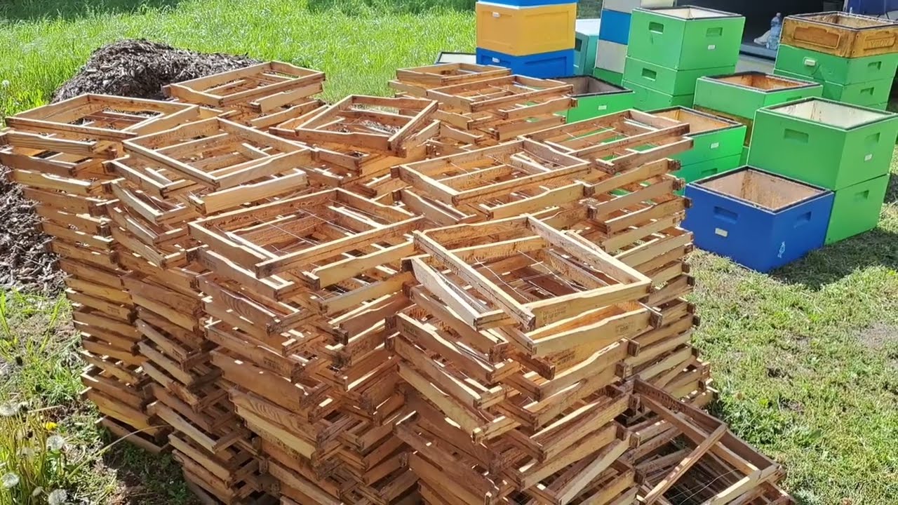 Prace porzadkowe w pasiece. Dezynfekcja ramek I sprzętu pasiecznego.