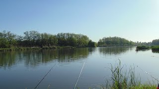 Видео отсутствие состава правонарушения,ВОДООХРАННАЯ ЗОНА. (автор: Где Клюет)