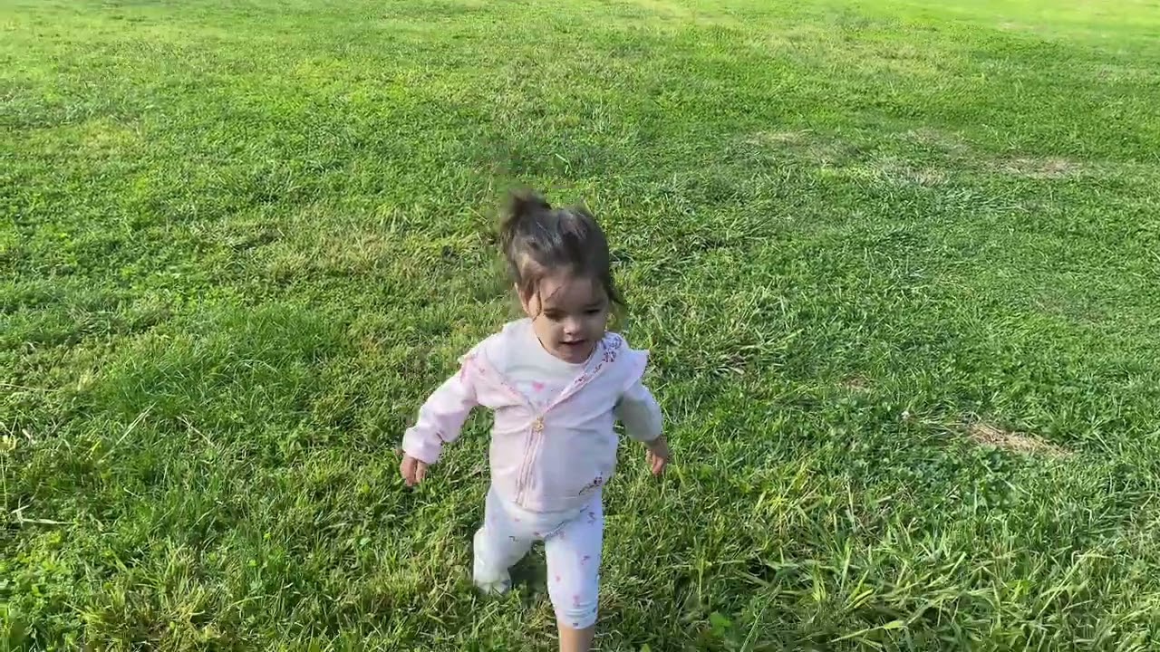 une journée de folie au parc  ￼