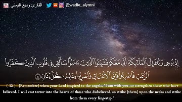 تلاوة هادئة ومميزة من سورة الانفال للقارئ وديع اليمني