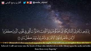 تلاوة هادئة ومميزة من سورة الانفال للقارئ وديع اليمني