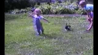 Cats Vs. Kids