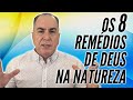 Os 8 Remédios de Deus na Natureza