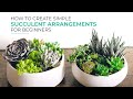 Simple Ways to Make Beautiful Succulent Arrangements for Beginners!