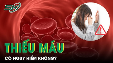 Thiếu Máu Là Bệnh Gì? Có Nguy Hiểm Không? | SKĐS