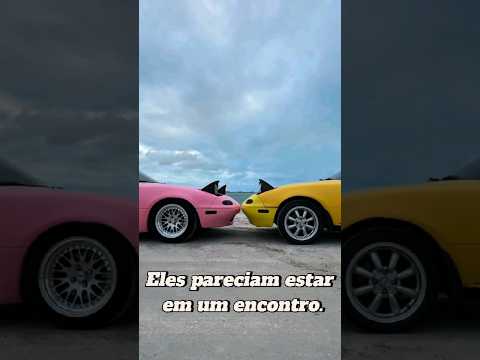 Esses carros pareciam apaixonados
