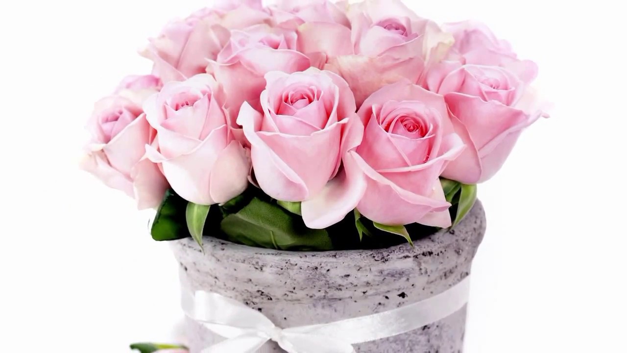 Розовые розы. Любимая, ты обыкновенное чудо...