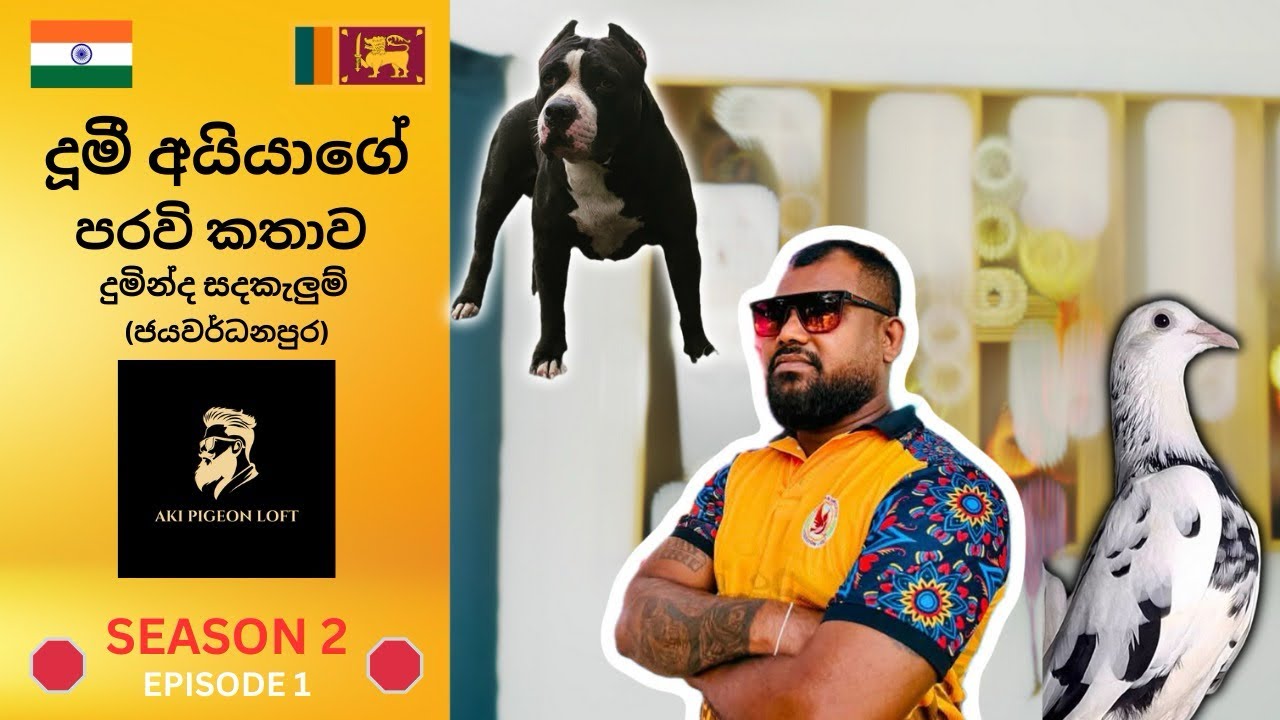 දුමින්ද අයියා හංගන් 😱 හිටපු පරවි විස්තරේ❤️,අපි එලියට ගත්තේ මෙහෙමයි...🤭🕊️ 🛑Part 01