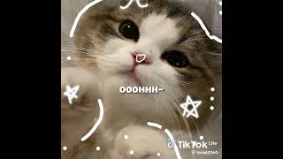 |03d5bb6881f9bcaddfe854d0317ef76b 1773489770189