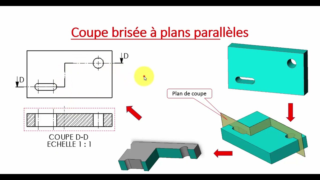 Coupes et sections