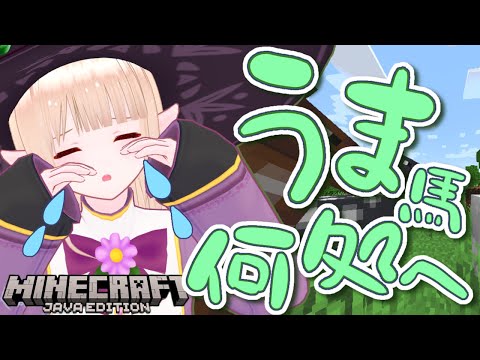 【#初見さん大歓迎 】まったりマイクラ /馬を探して五億千里 【 #minecraft 】