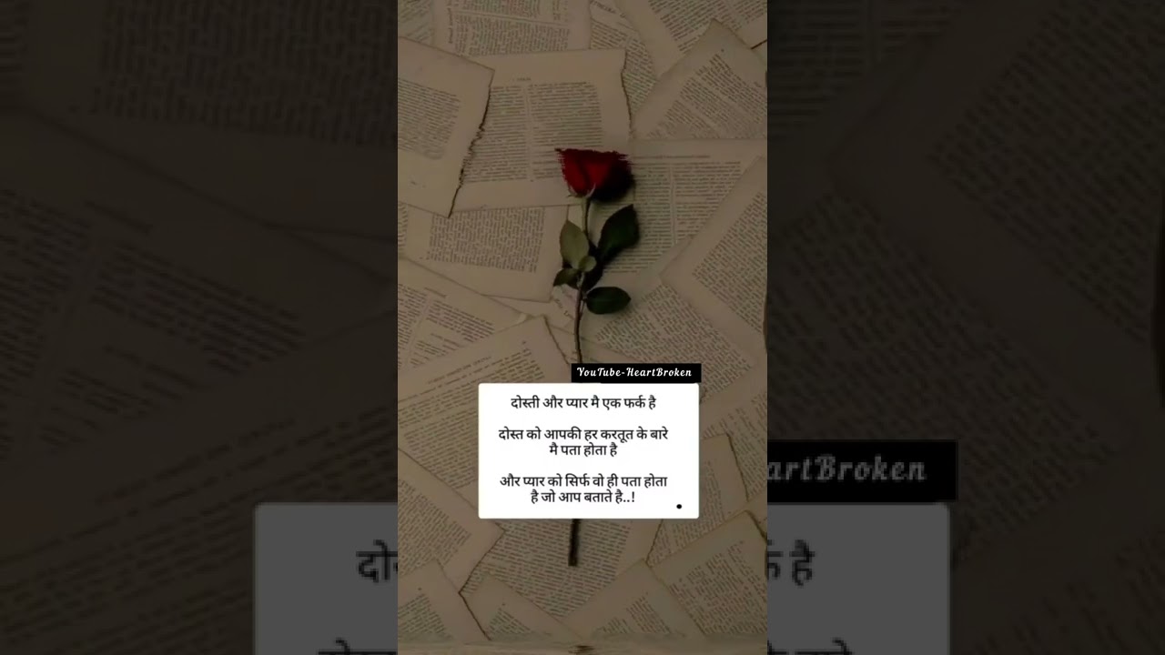 दोस्ती और प्यार में एक /shayari quotes on life