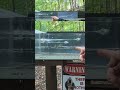 Full Metal Jacket VS Hollow Point in Ballistic Gel - .45 ACP