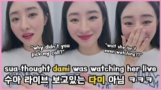 sua thought dami was watching her live 🤭 수아 라이브 보고있는 다미 아님 ㅋㅋㅋ