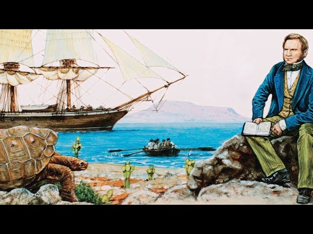 დოკუმენტური ფილმი - ჩარლზ დარვინის დიდი მოგზაურობა