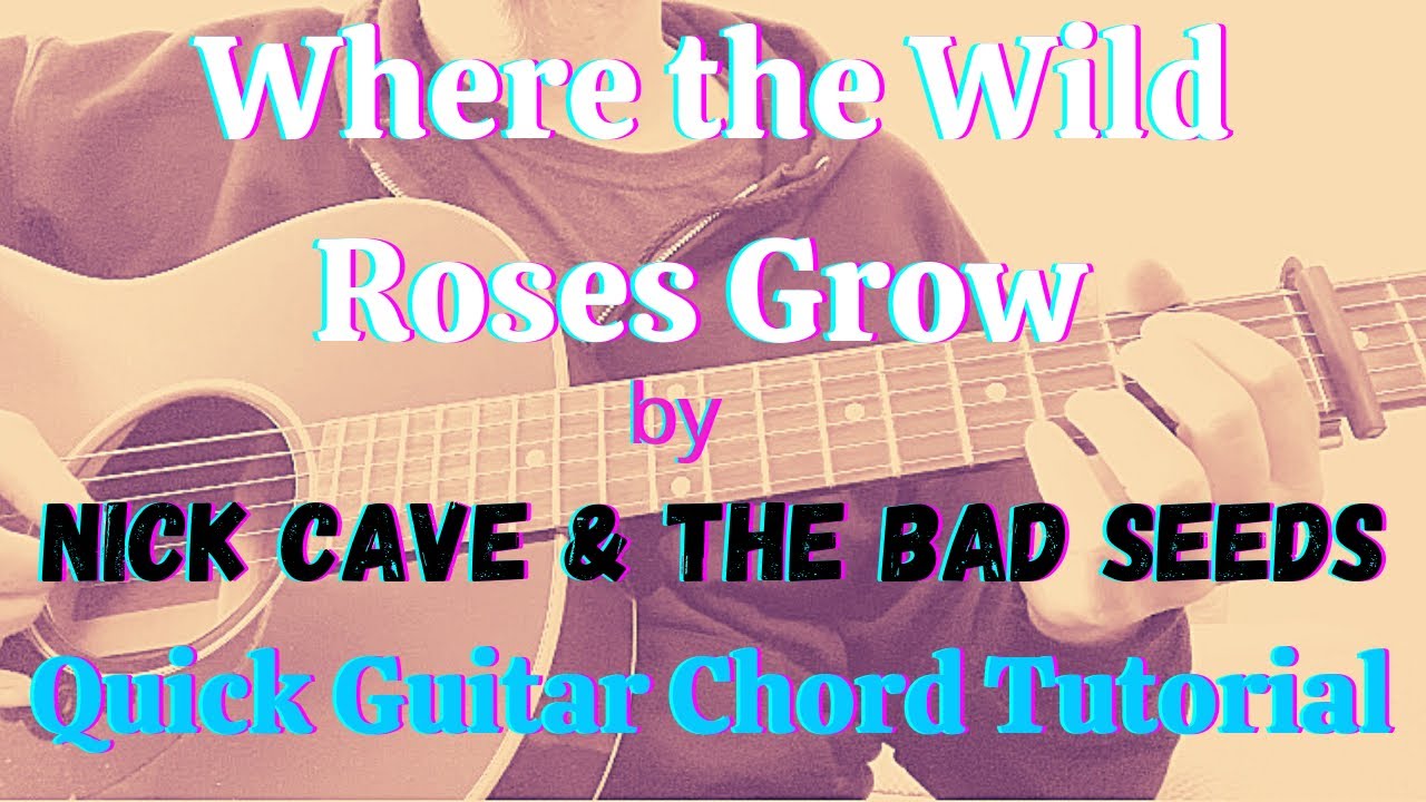 How to play “Where the Wild Roses Grow” by Nick Cave Quick Guitar