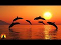 🔴 Relaxing Music 24/7, Stress Relief Music, Sleep Music, Meditation Music, Study, Calming Music