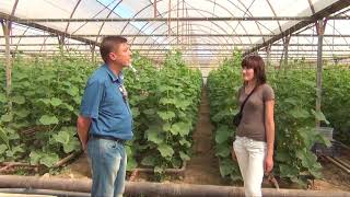 Термоплёнка ПАТИЛАЙТ screenshot 4