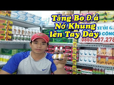 Video Thuốc nuôi gà | cách Sử Dụng Thuốc Tăng Bo cho G.à Đ.á... - youtube