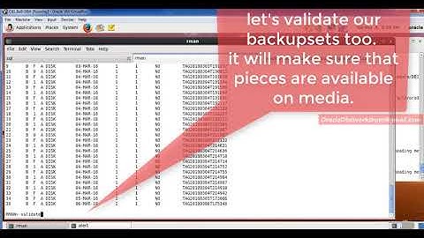 Simplified DBA-022-07-RMAN Validate Database