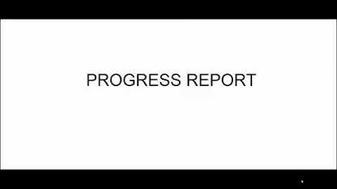 11 Progress Report