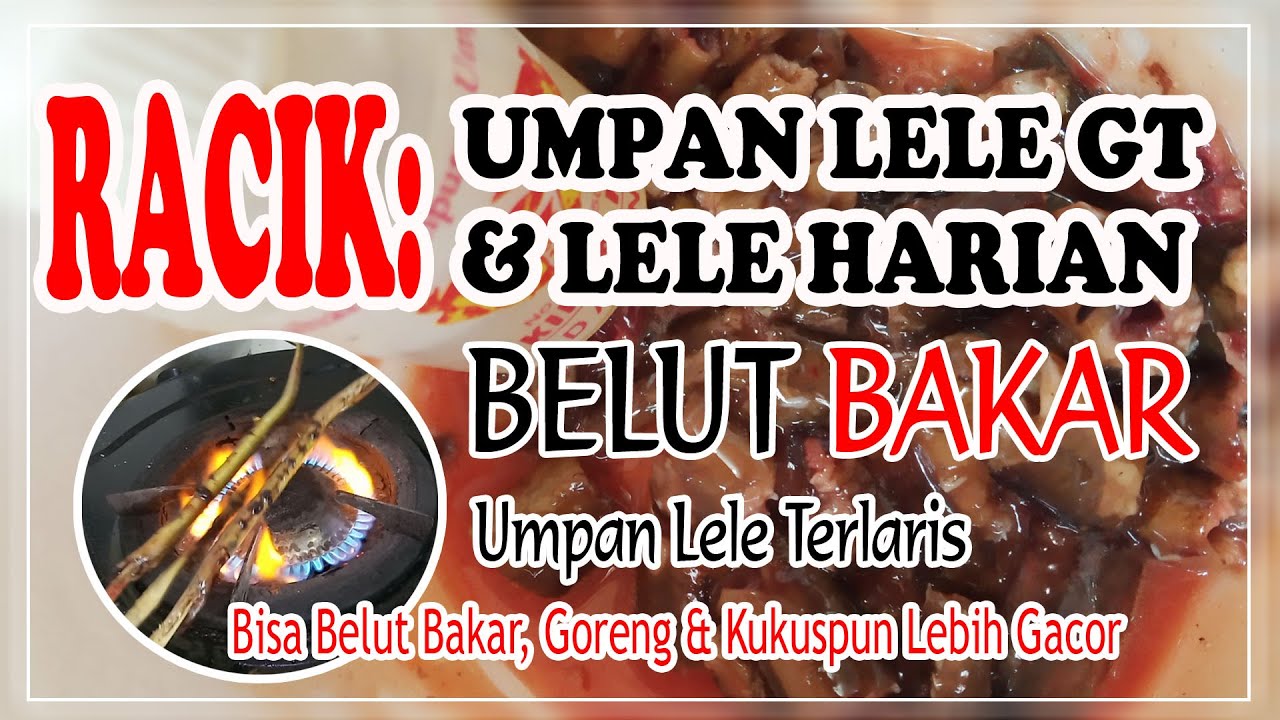 RACIKAN UMPAN JITU LELE GALATAMA | LELE HARIAN | MEDIA BELUT BAKAR