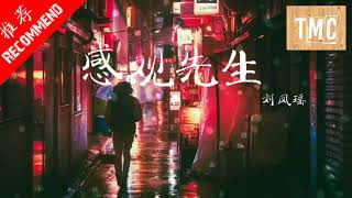 [ 抖音新歌 ] 刘凤瑶 - 感官先生 高音质 [ 动态歌词 ]