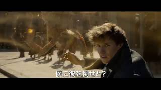 今回も初登場の魔法生物たちが大暴れ！『ファンタスティック・ビーストと黒い魔法使いの誕生』予告編
