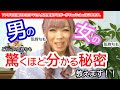 アメブロ月間130万PVの人気恋愛系ブロガーがYouTubeはじめます。