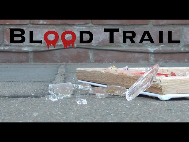 Blood Trail - Short Film class=