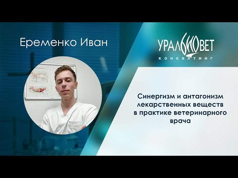 Синергизм и антагонизм лекарственных веществ в практике ветврача. Лектор Иван Еременко #убвк_терапия