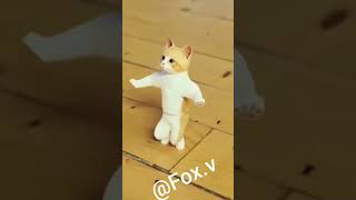 صغيرة لكن ❤️قطقوطه🤗Small but ❤️ cat 🤗 screenshot 1