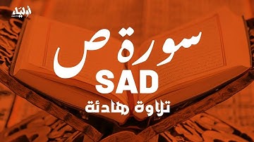 سورة ص - تلاوة هادئة بصوت القارئ علاء عقل 🧡 SURAH SAD ALAA AQEL