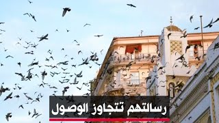 🔴 مهمّتهم أن تصل الرسائل… ورسالتهم أكبر من ذلك..