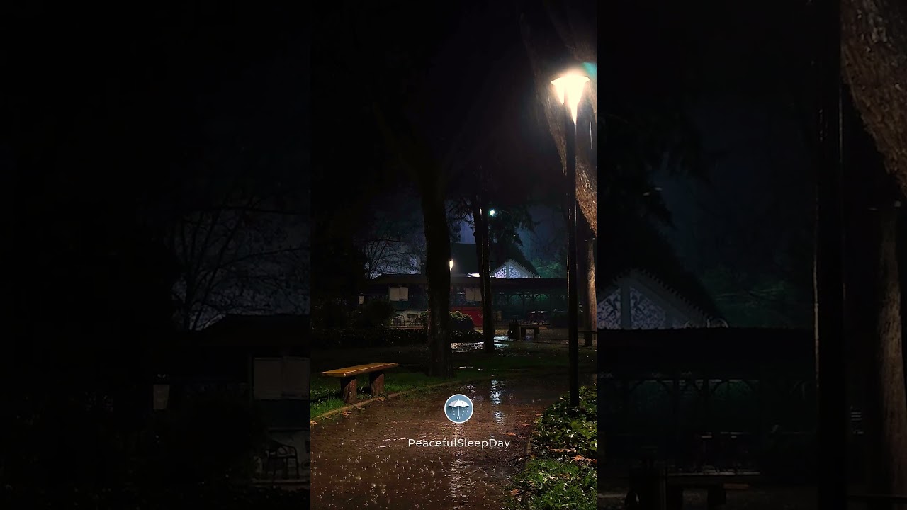 🌧 Night Rain & Thunder Sounds for Deep Sleep 💤