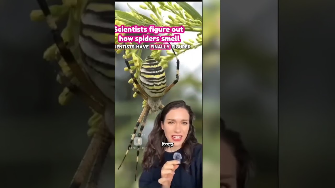 Carryminati found a rare species of spider